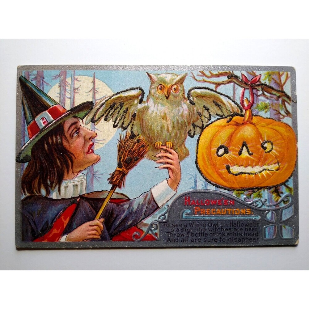 Halloween Precautions Postcard Witch Owl JOL Mica Glitter Embossed Vintage Ser 2